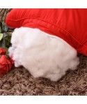 Factory direct sale wholesale wedding pillow big red wedding all cotton pillow core washable new pillow core