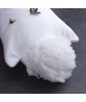 Wholesale pure cotton pillow adult cotton Hotel pillow core home nap pillow comfortable single pillow core one pair of 2