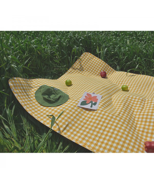 Ins style thickened non slip picnic mat moisture proof waterproof tent mat Music Festival cushion factory customized