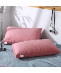 Feather velvet pillow core three dimensional net edge three line lattice Hotel student pillow double pillow adult family hair wholesale