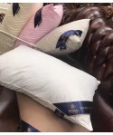 Wechat business popular pure cotton goose down pillow core five star hotel down pillow full cotton pillow core wholesale down pillow