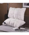 Factory direct supply Hilton pillow core washable high resilience twist 3D feather velvet pillow core hotel home