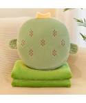 Cross border three in one warm hand pillow, cool summer quilt, fruit air conditioner, plush toy, nap, travel