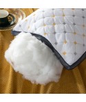 Feather velvet pillow core three dimensional net edge three line lattice Hotel student pillow double pillow adult family hair wholesale