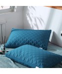 Feather velvet pillow core three dimensional net edge three line lattice Hotel student pillow double pillow adult family hair wholesale