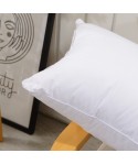 Five star cotton feather proof velvet pillow core Hotel pillow bedding hotel bedding customized