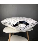 Hilton Hiton pillow five star hotel pillow core Hotel dormitory single and double student pillow core gift