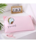 Factory directly for cotton children's students cartoon embroidery washed feather velvet buckwheat pillow pillow core a hair